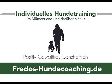 Fredos Hundecoaching - Impressionen